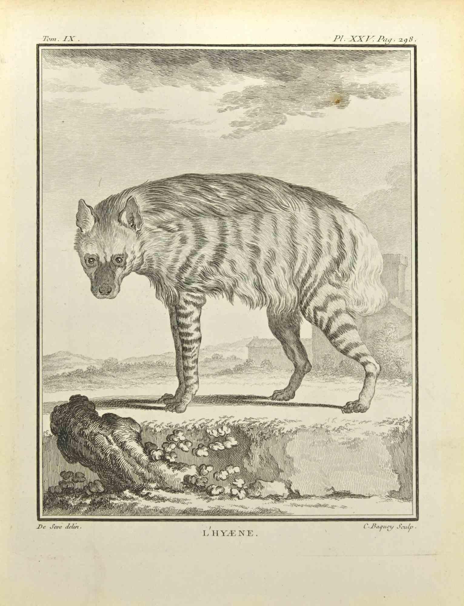 Hyena est une gravure réalisée par Jean Charles Baquoy en 1771.

Il appartient à la suite "Histoire Naturelle de Buffon".

La signature de l'Artistics est gravée en bas à droite.

Bonnes conditions.
