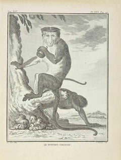 Le Bonnet par Jean Charles Baquoy - 1771