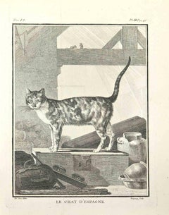 Le Chat d'Espagne - Etching by Jean Charles Baquoy - 1771