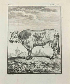 Le Chevreuil  - Gravure  par Jean Charles Baquoy - 1771