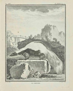 Le Chincher – Radierung von Jean Charles Baquoy – 1771