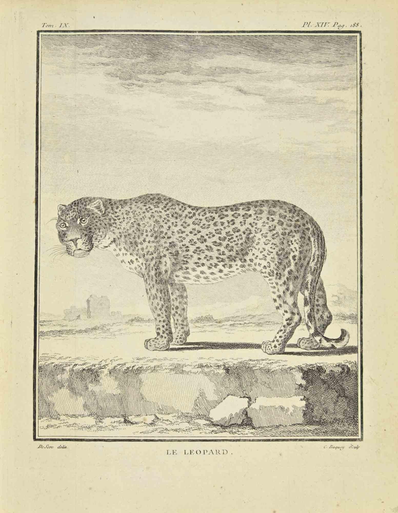 Le Leopard is an etching realized by Jean Charles Baquoy in 1771.

The artwork Belongs to the suite "Histoire naturelle, générale et particulière avec la description du Cabinet du Roi". Paris: Imprimerie Royale, 1749-1771. The Artist's signature is