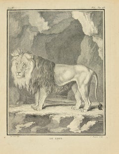 Gravure « Le Lion » de Jean Charles Baquoy, 1771