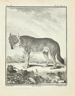 Le Loup - Etching by Jean Charles Baquoy - 1771