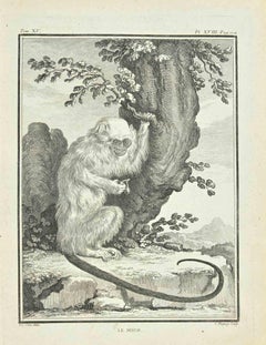 Le Mico - Gravure de Jean Charles Baquoy - 1771