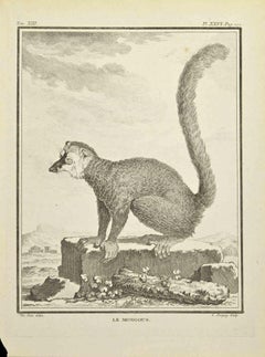 Le Mongous - Etching by Jean Charles Baquoy - 1771