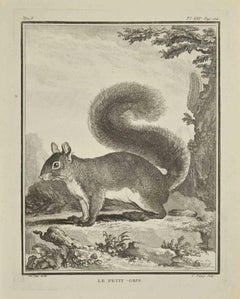 Le Petit - Gravure de Jean Charles Baquoy - 1771
