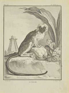 Le Pinche - Etching by Jean Charles Baquoy - 1771