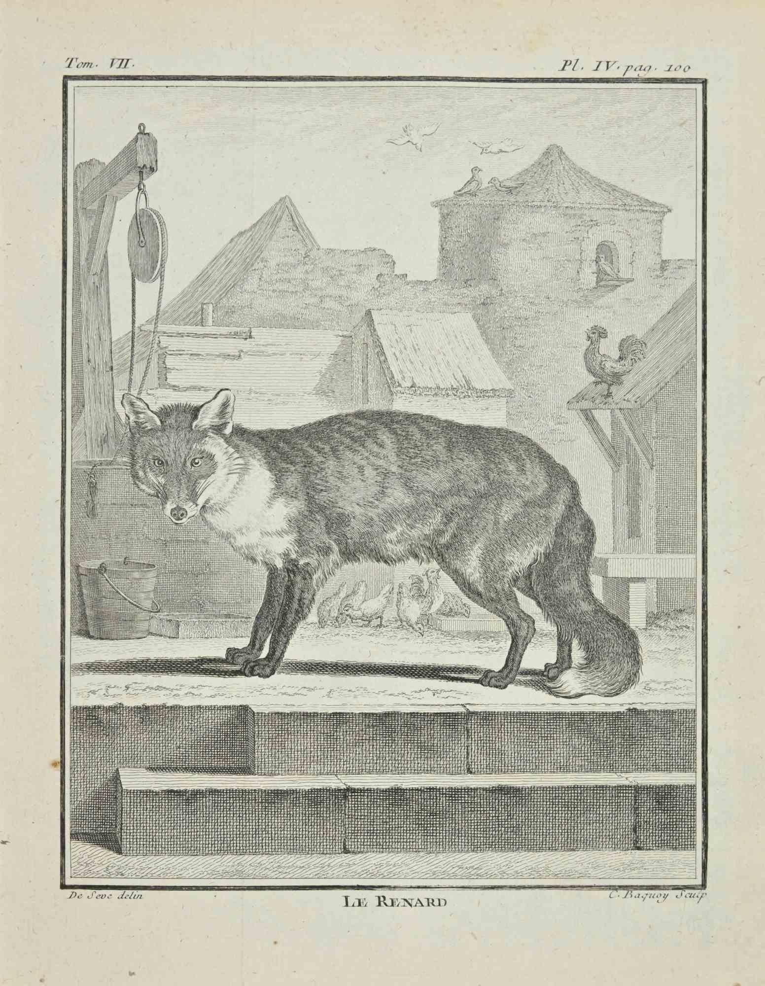 Le Renard is an etching realized by Jean Charles Baquoy in 1771.

It belongs to the suite "Histoire Naturelle de Buffon".

The Artist's signature is engraved lower right.

Good conditions.