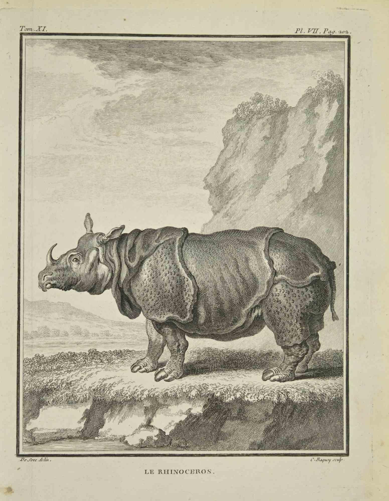 Le Rhinoceros is an etching realized by Jean Charles Baquoy in 1771.

It belongs to the suite "Histoire Naturelle de Buffon".

The Artist's signature is engraved lower right.

Good conditions with slight foxing.