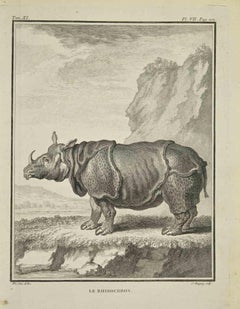 Le Rhinoceros – Radierung von Jean Charles Baquoy – 1771
