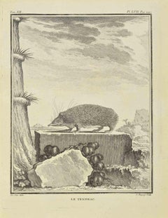 Le Tendrac – Radierung von Jean Charles Baquoy – 1771