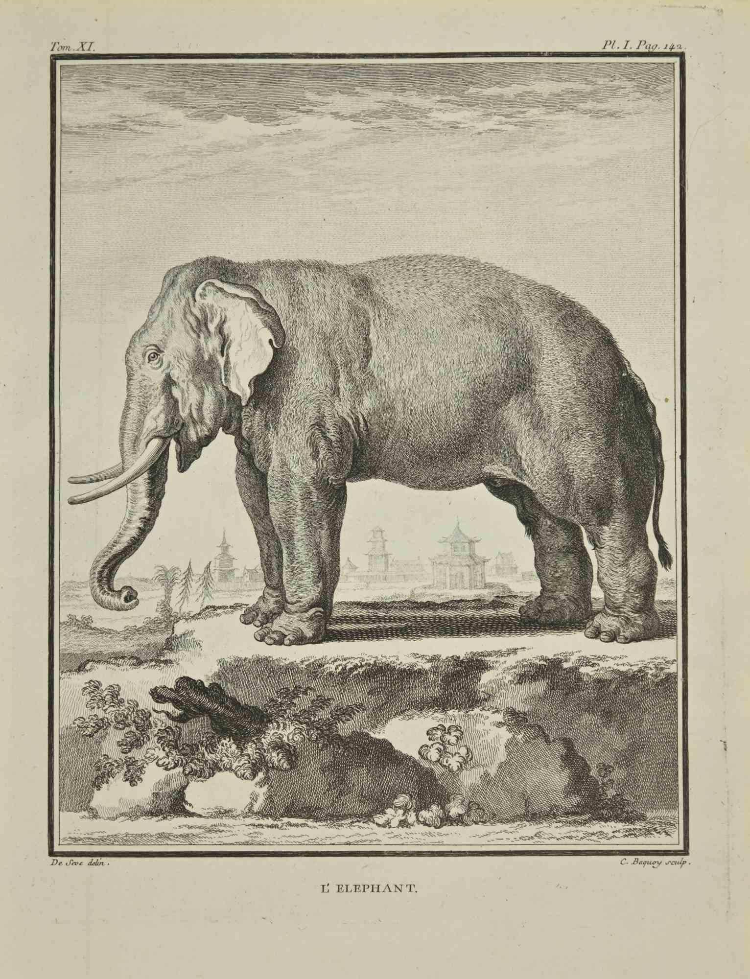 L'éléphant est une gravure réalisée par Jean Charles Baquoy en 1771.

Il appartient à la suite "Histoire Naturelle de Buffon".

La signature de l'Artistics est gravée en bas à droite.

Bonnes conditions.