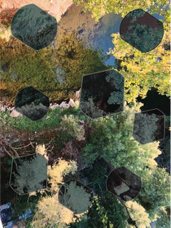 Arte contemporáneo francés de Jean-Claude Byandb - Feuillages Aériens
