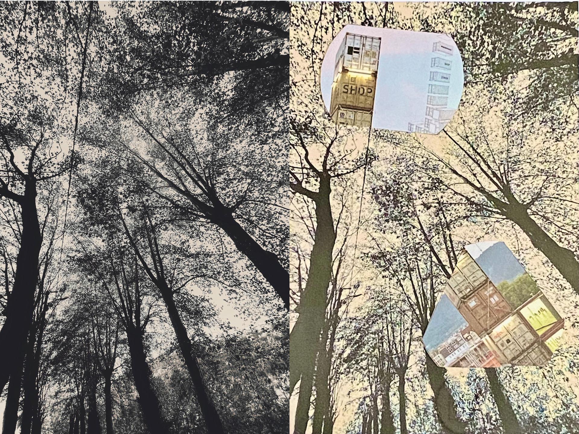 Fotografía sobre papel
