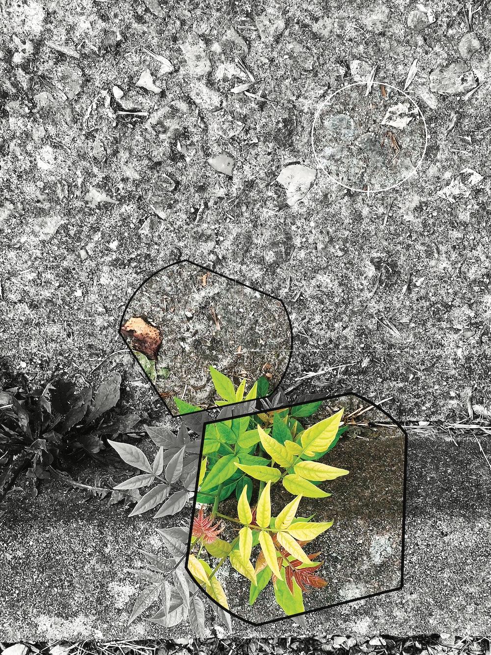 Digitale Originalkunst auf fotografischem DIBON-Papier

Jean-Claude ByandB ist ein französischer Künstler, der 1949 geboren wurde und in Saint Cyr sur Loire in Frankreich lebt und arbeitet. Seine künstlerische Forschung wurde hauptsächlich von den