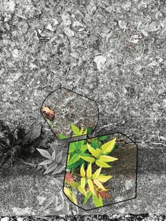 Arte contemporáneo francés de Jean-Claude Byandb - Plante