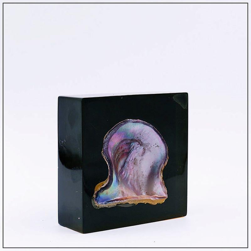 Vide-Poche of a shell with mother of pearl in epoxy resin. Designed by belgian artist Jeac Claude Dresse and Pierre Giraudon, who's specialities are pieces in epoxy resin.
