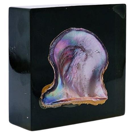 Jean Claude Dresse  Pierre Giraudon Inclusion of Pearl Oyster Shell For Sale