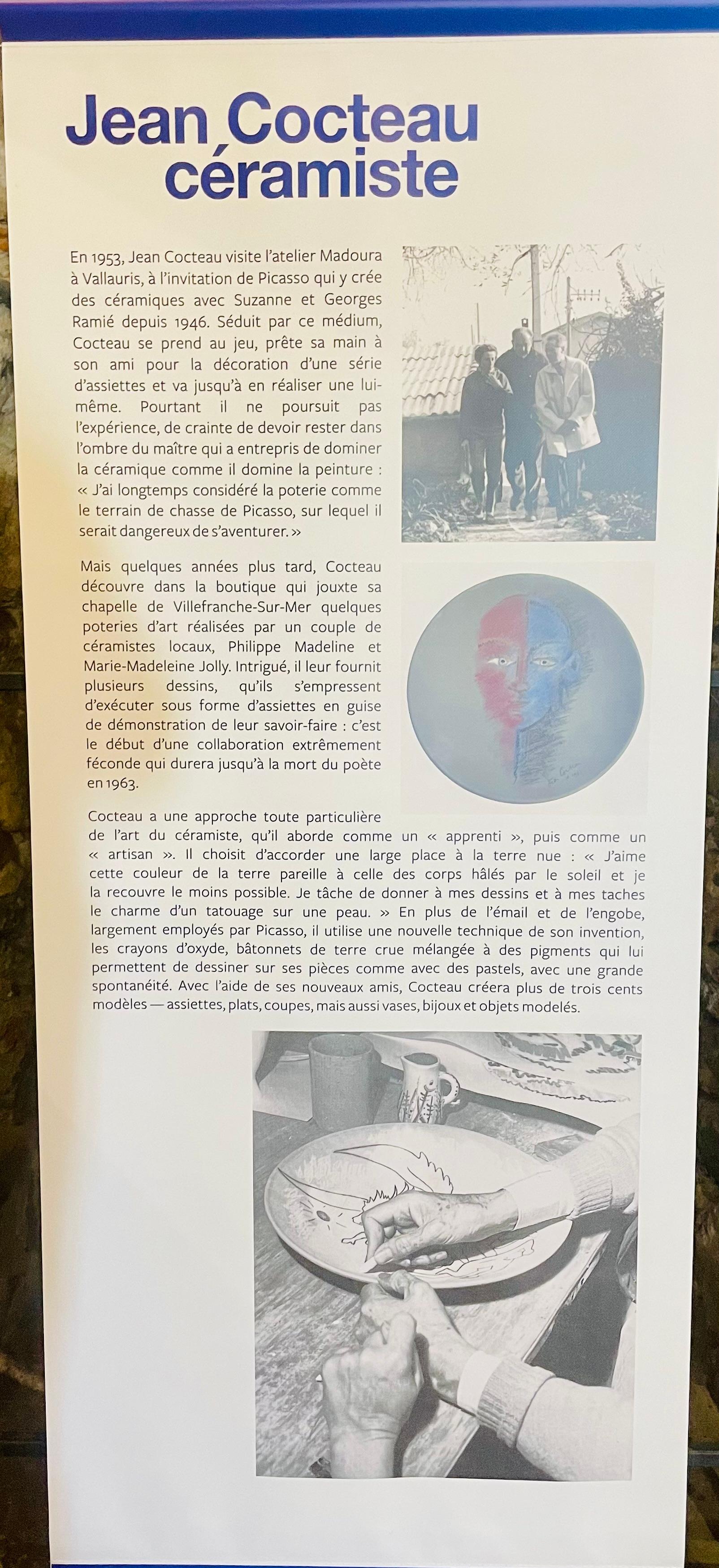 Bélier aux cornes jaunes en vente 14