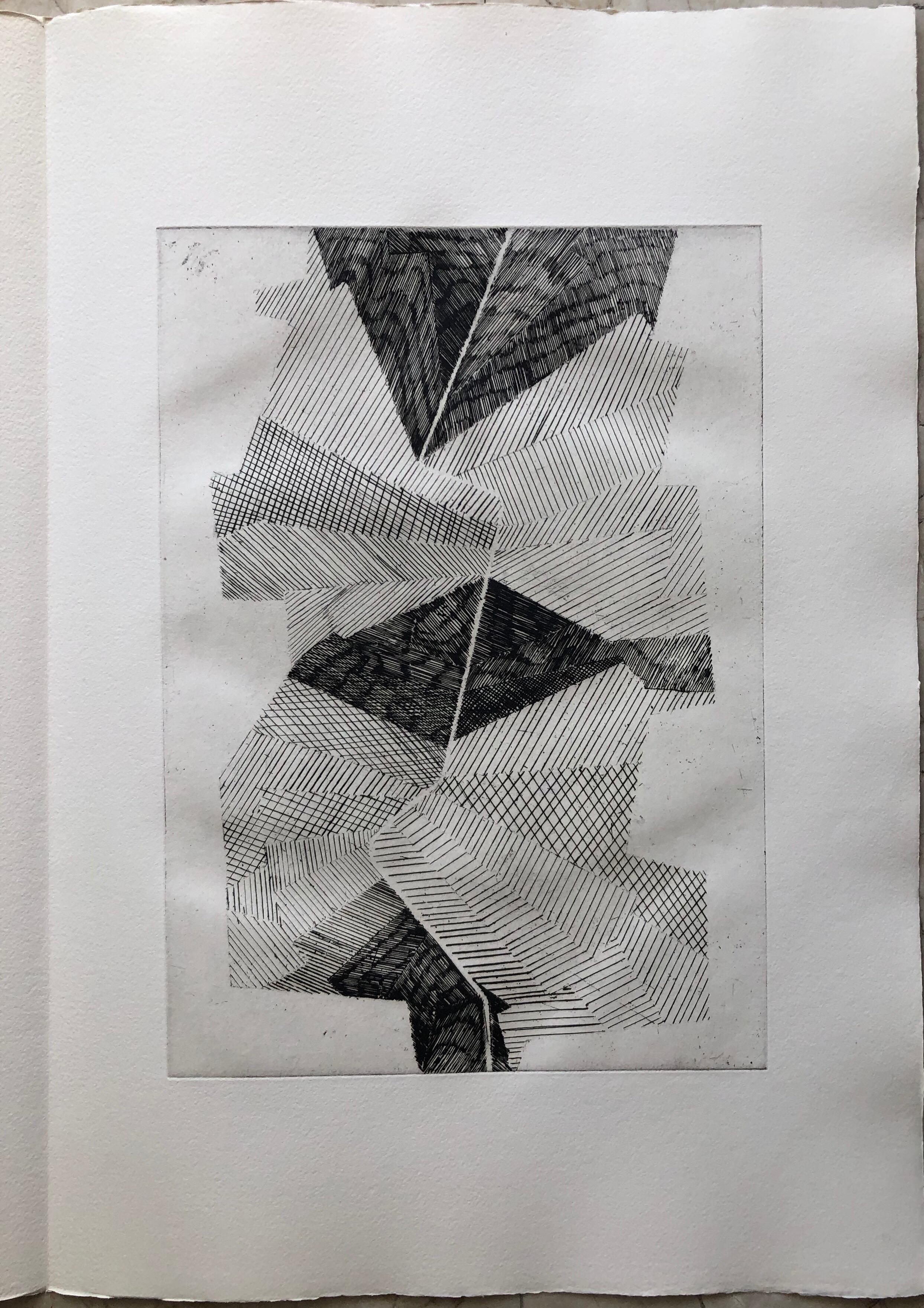 French Avant Garde Bold Abstract Geometric Aquatint Etching Op Art Kinetic - Gray Abstract Print by Jean Deyrolle