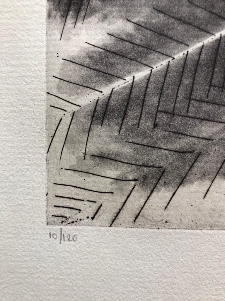 Jean Deyrolle French Avant Garde Bold Abstract Geometric Aquatint