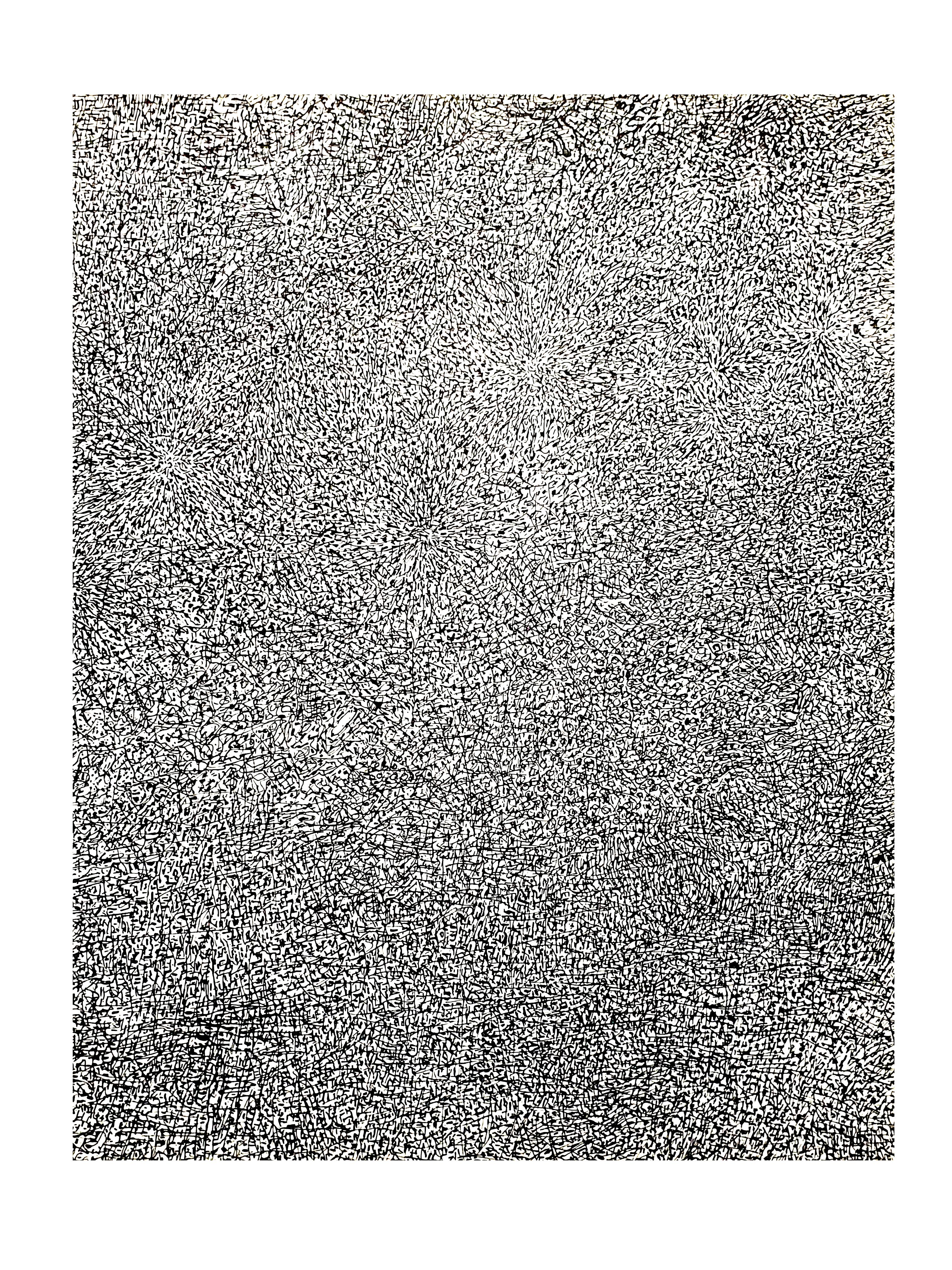 nach Jean Dubuffet - Wiese - Lithographie
1960
Abmessungen: 32 x 25 cm 
Ausgabe: G. di San Lazzaro.
Aus der Kunstzeitschrift XXème siècle
Unsigniert und nicht nummeriert wie ausgestellt