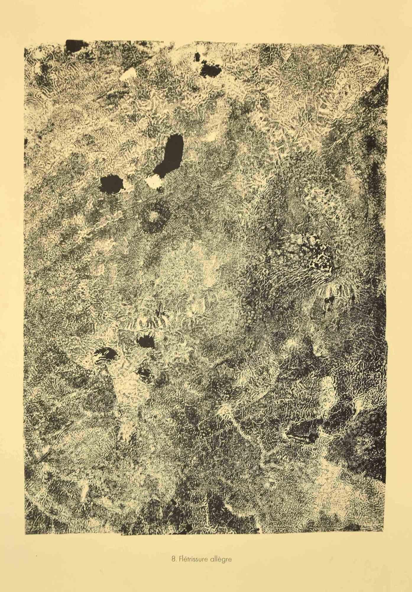 Flétissure Allègre, De Territoires  est une lithographie originale en noir et blanc réalisée par  Jean Dubuffet (1901 Le Havre - Paris 1985).

L'œuvre est la planche n° 8 du portfolio Territoires qui comprend 18 lithographies, réalisée en