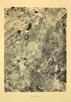 Fltissure Allgre, aus Territoires – Originaldruck nach Jean Dubuffet – 1959