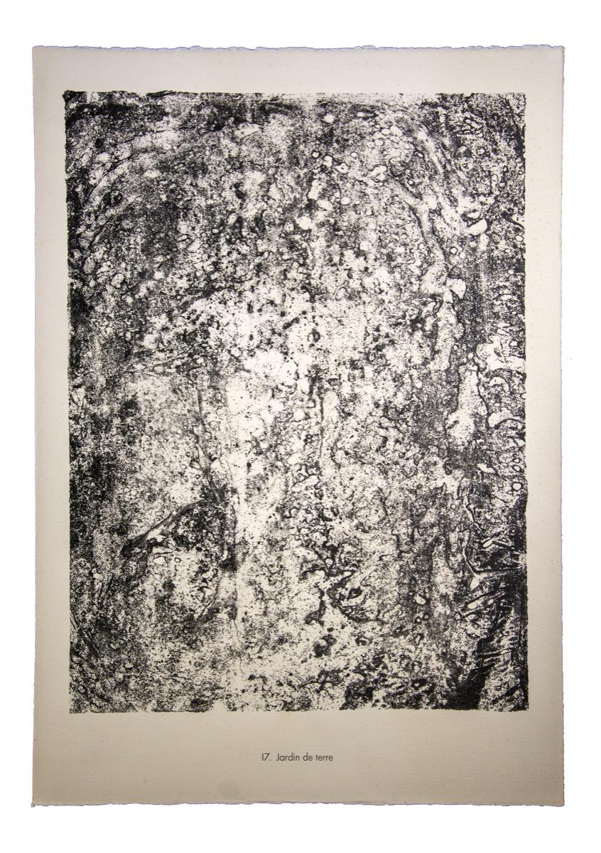 Jardin de terre è una litografia originale in bianco e nero realizzata dal fondatore francese dell'Art Brut, Jean Dubuffet.

Ottime condizioni.   Dimensioni dell'immagine: 53 x 39,5 cm.

L'opera rappresenta una composizione astratta attraverso