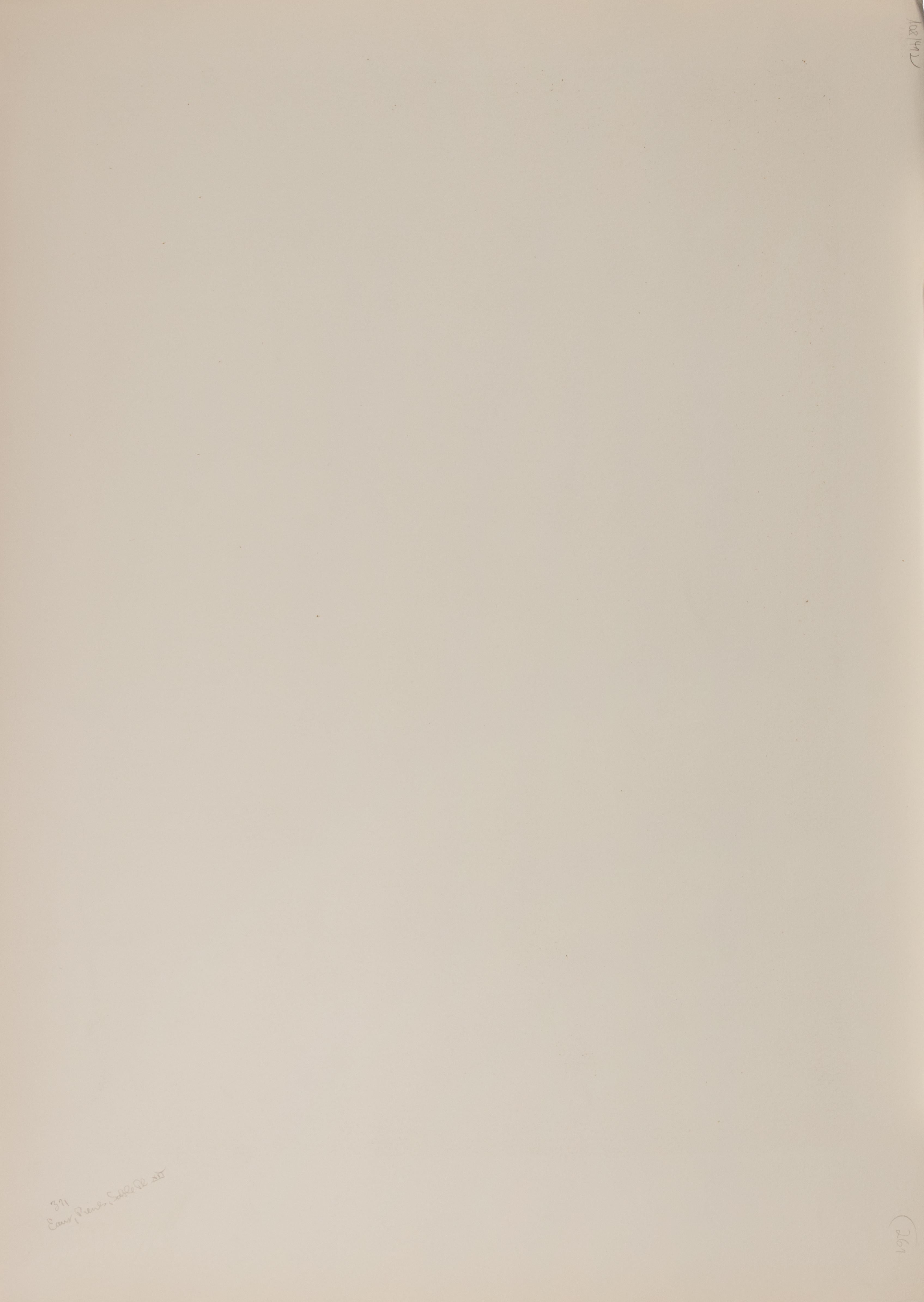 L'Eau Dévastatrice - Litografía de Jean Dubuffet - 1959 en venta 1