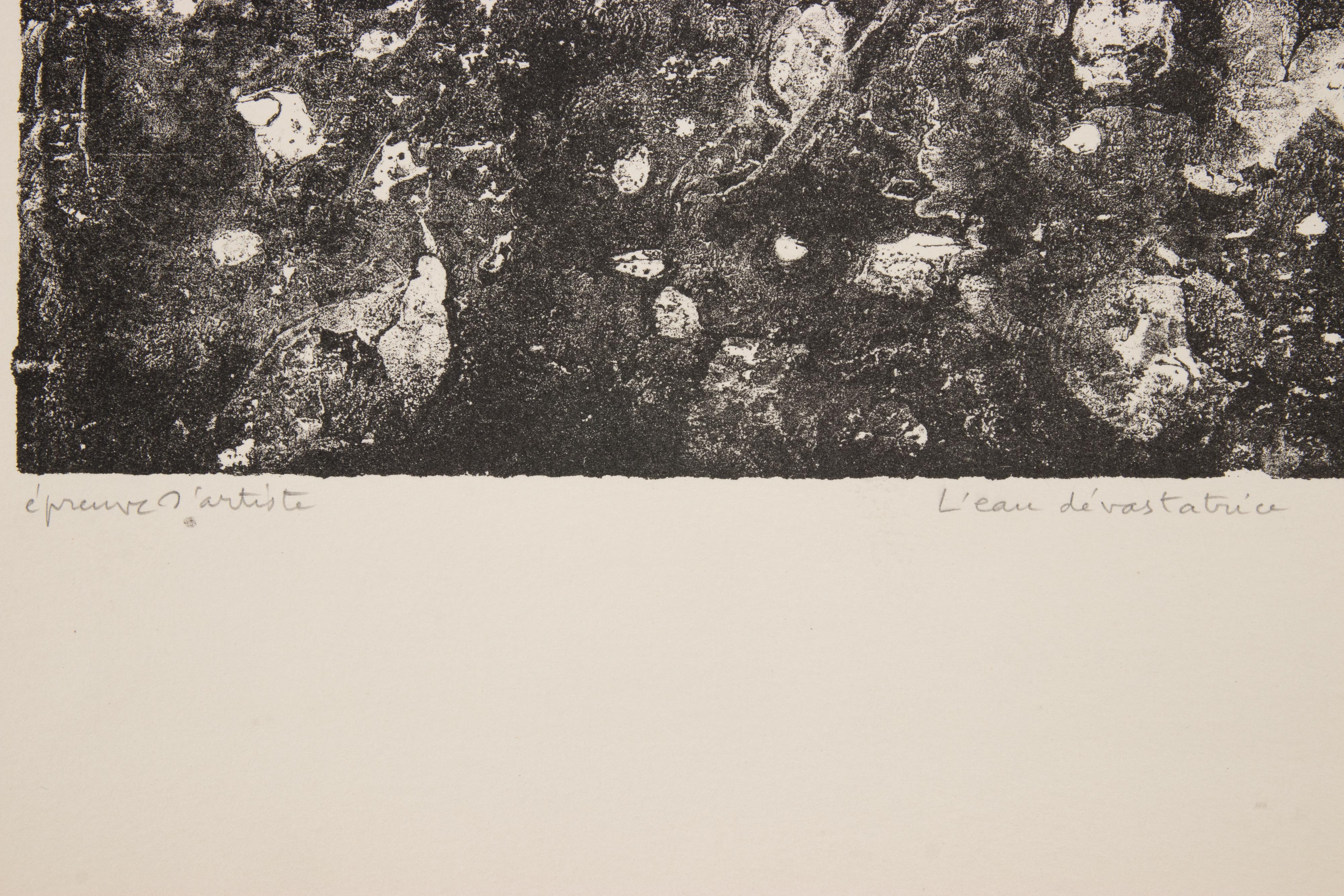 L'Eau Dévastatrice - Litografía de Jean Dubuffet - 1959 en venta 2