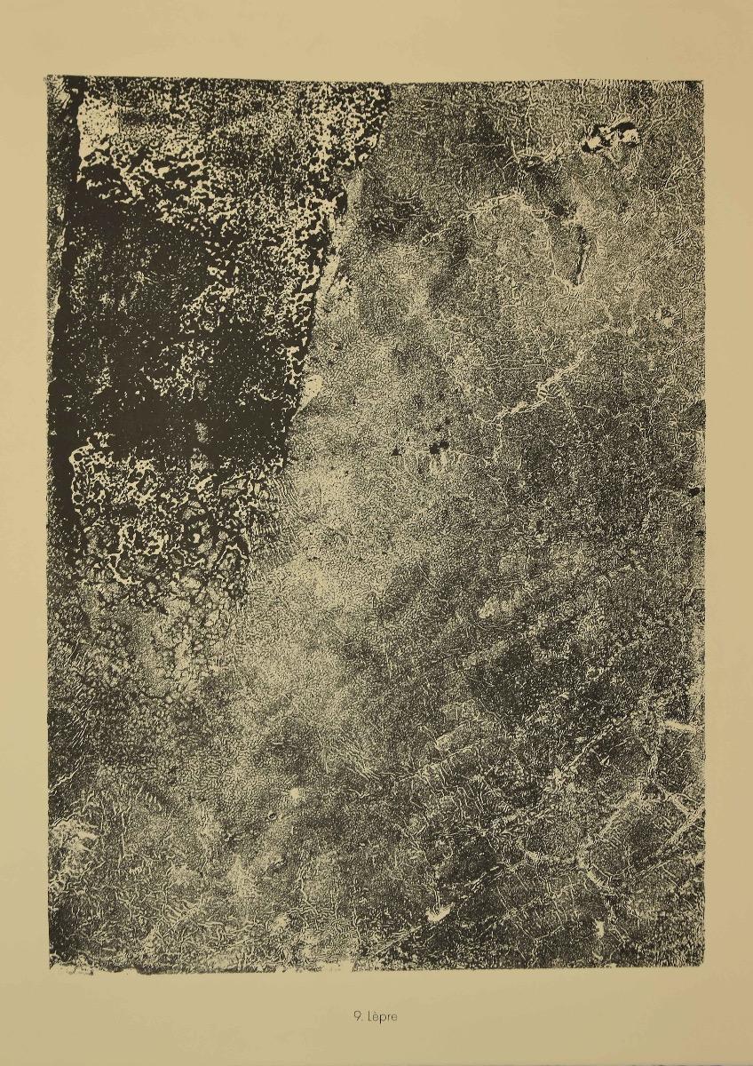 Lepre è una litografia originale su carta filigranata "Arc". Composizione astratta dell'artista francese Jean Dubuffet. 

Dall'album "Cites et Chaussees" (1953-1959). In condizioni eccellenti.

Riferimenti: Cat. W. n° 607 / Cat. S. n°414. Edizione