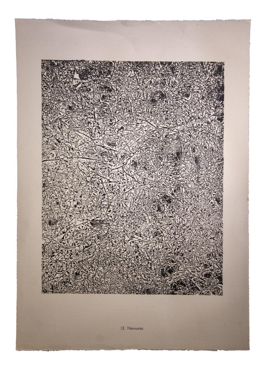 Nervures è una litografia originale in bianco e nero realizzata dal fondatore francese dell'Art Brut, Jean Dubuffet.

Ottime condizioni.  Dimensioni dell'immagine: 46 x 35 cm.

L'opera rappresenta una composizione astratta attraverso tratti forti e