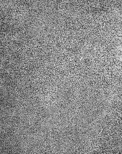 Jean Dubuffet, Beard Meadow, from XXe Siecle, 1960