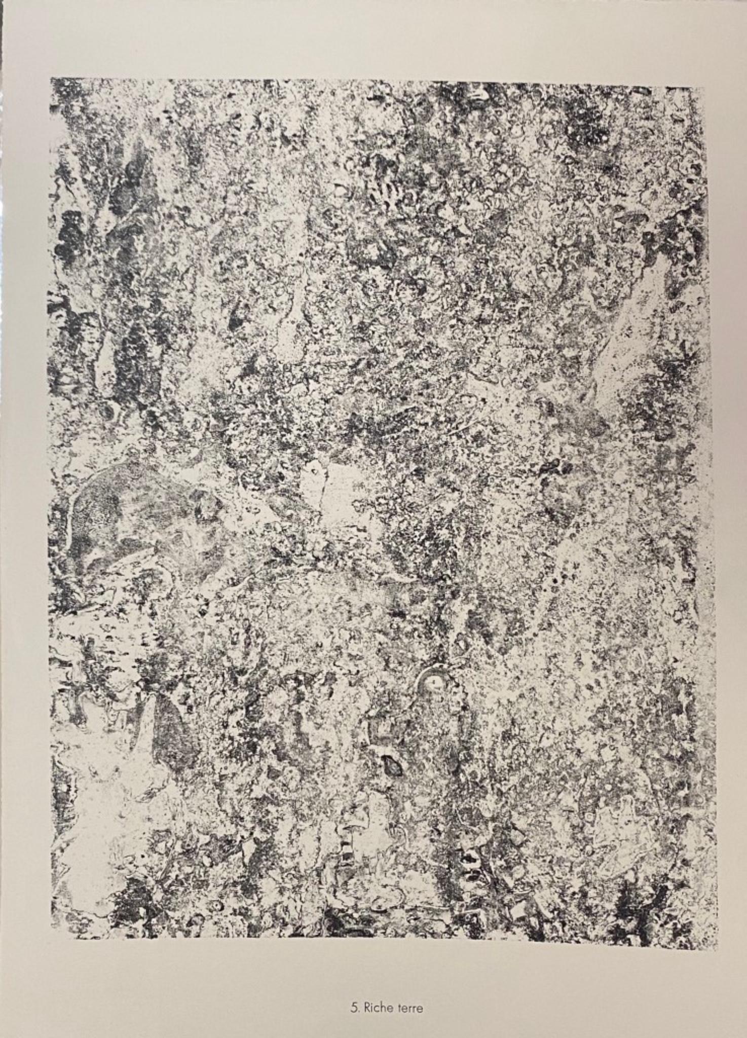 Riche Terre est une lithographie originale en noir et blanc sur papier filigrané "Arc". Composition abstraite de l'artiste français Jean Dubuffet. 
De la suite du "Théâtre du sol" (1953-1959). En excellent état.

Références : Cat. Silkebor 6 n° 346