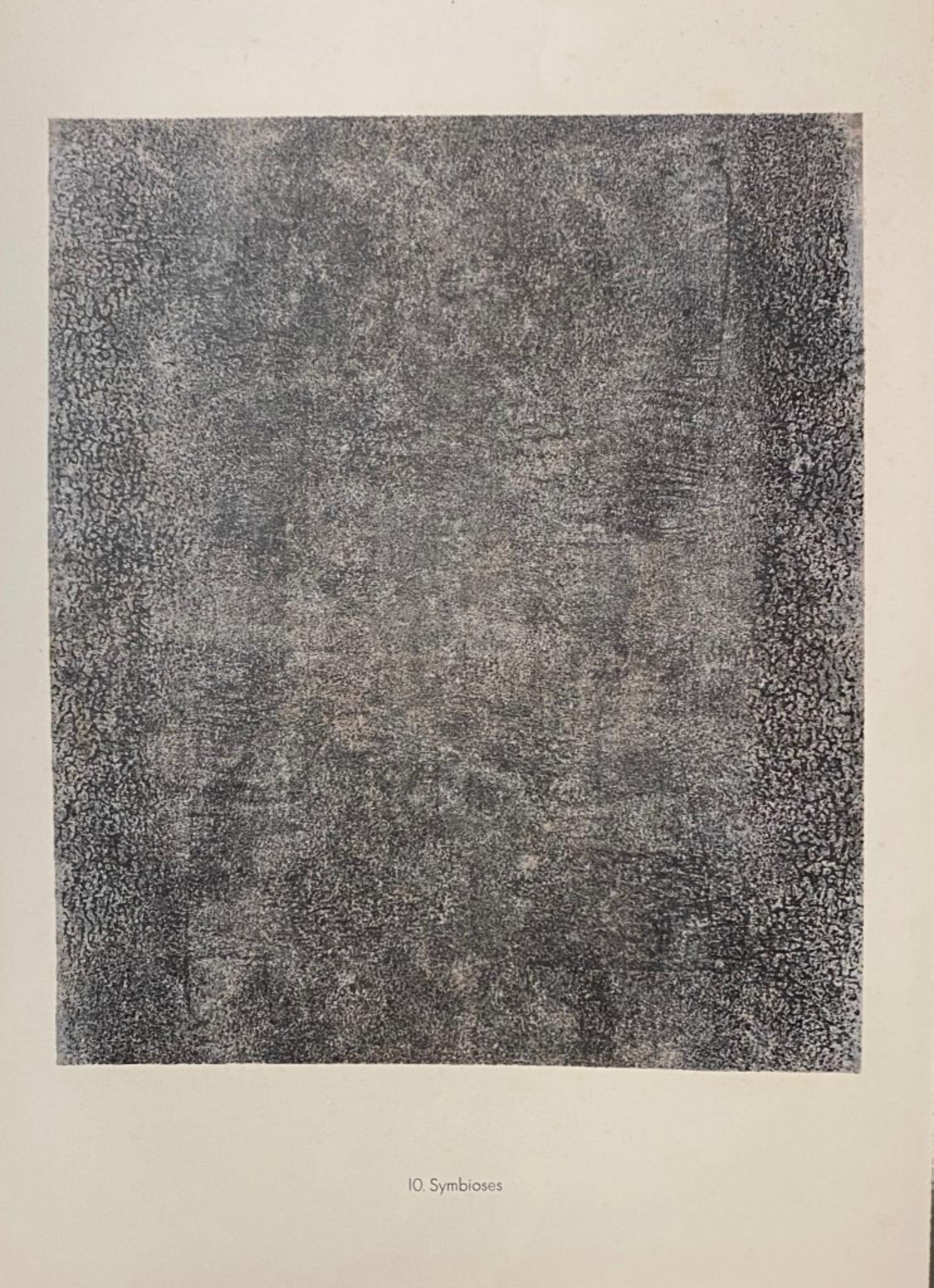 Symbioses is an original B/W lithograph on watermarked paper "Arc". 

Abstract composition by the French artist Jean Dubuffet. From the album of "Spectacles" (1953-1959). 

In excellent condition. Limited Edition of 24.

Image Dimensions: 45 x 38.5