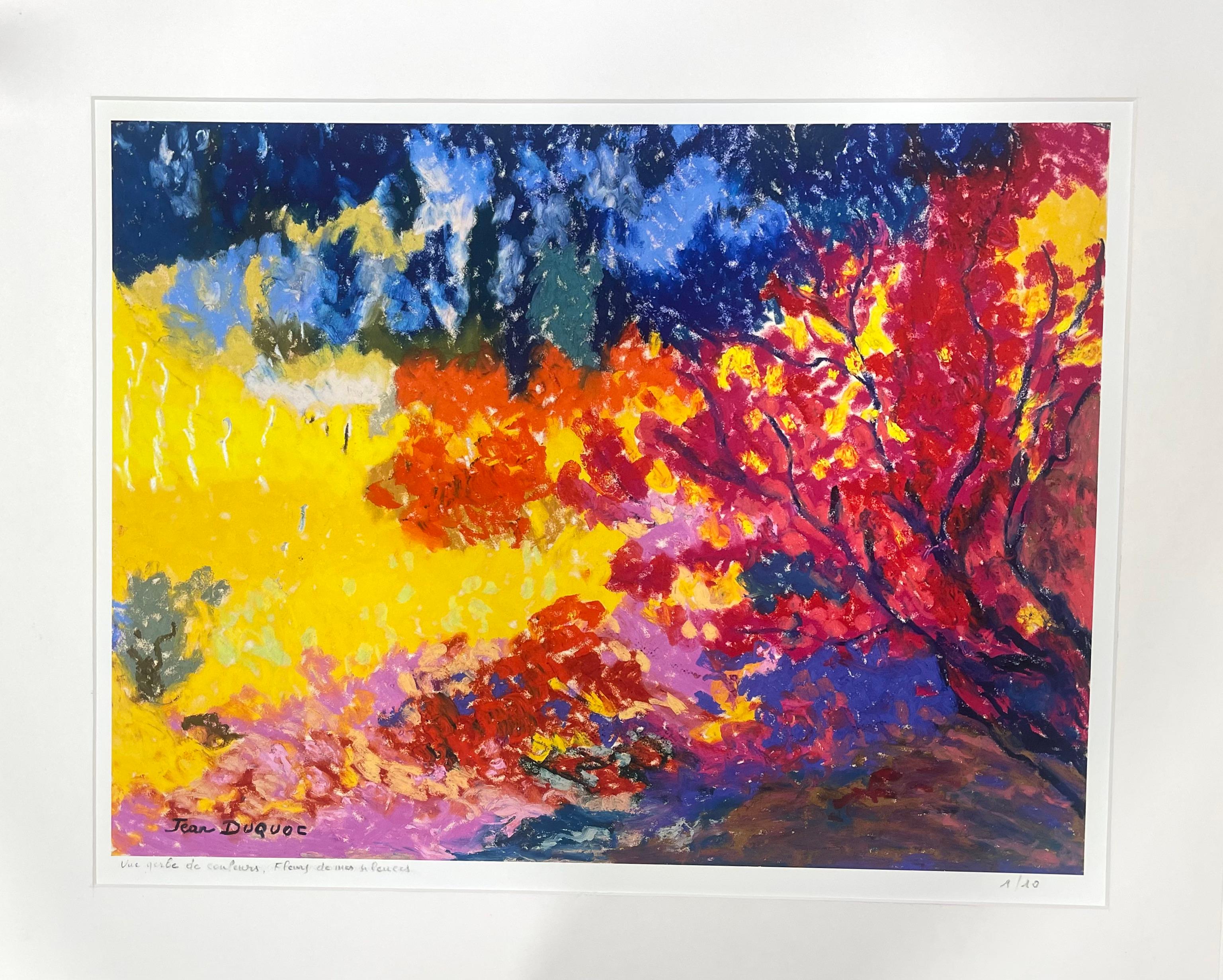 Arte contemporáneo francés de Jean Duquoc - Une Gerbe de Couleurs en venta 1