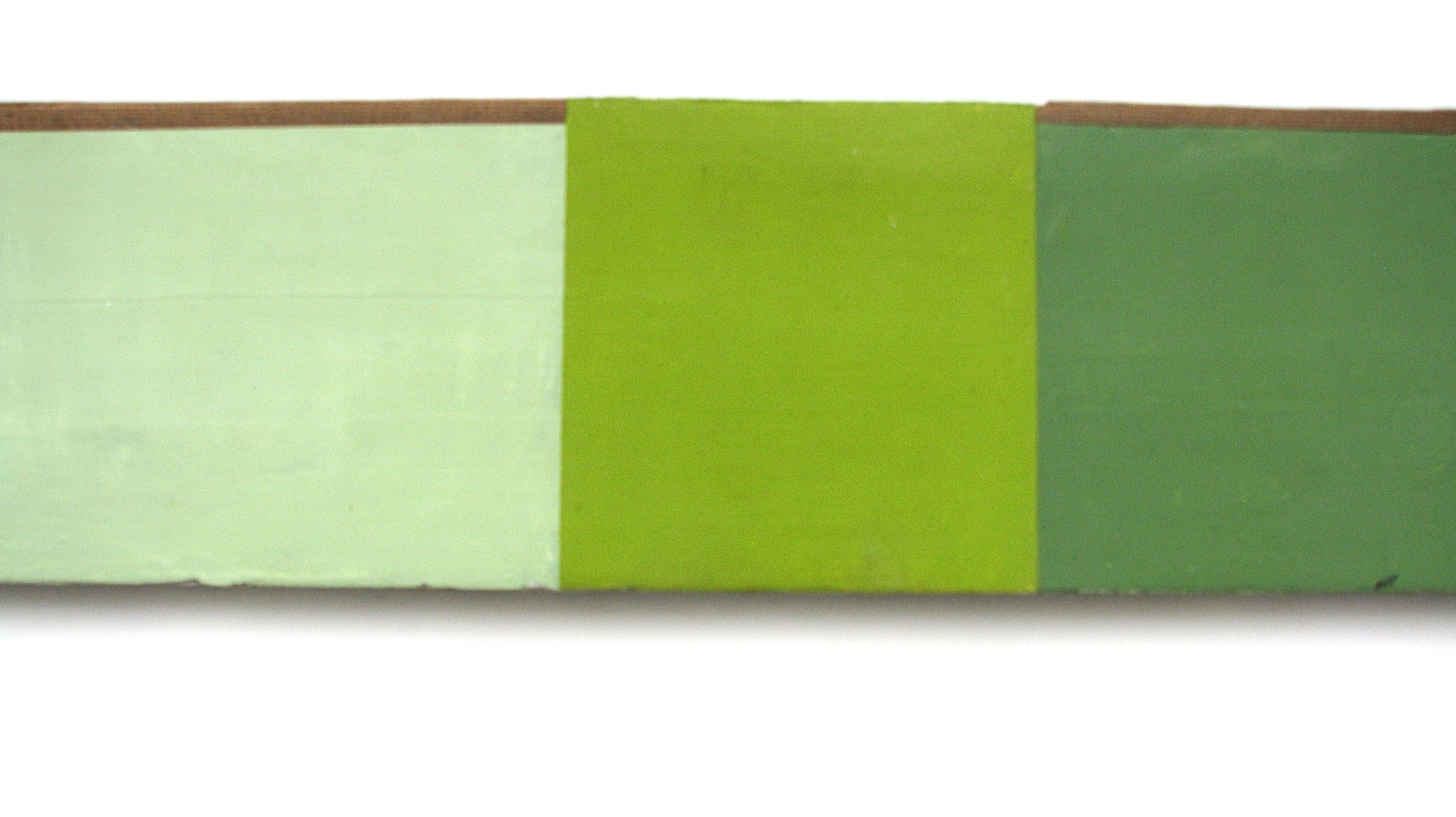 Quotations in Green, 2017, Oil on Found Wood 5  x 49.5 x 1.5  Inches.  This painting is currently on view in a one-person exhibition of the artist's works at the Beth Urdang Gallery in Boston.

Jean Feinberg is a NY based artist whose geometric