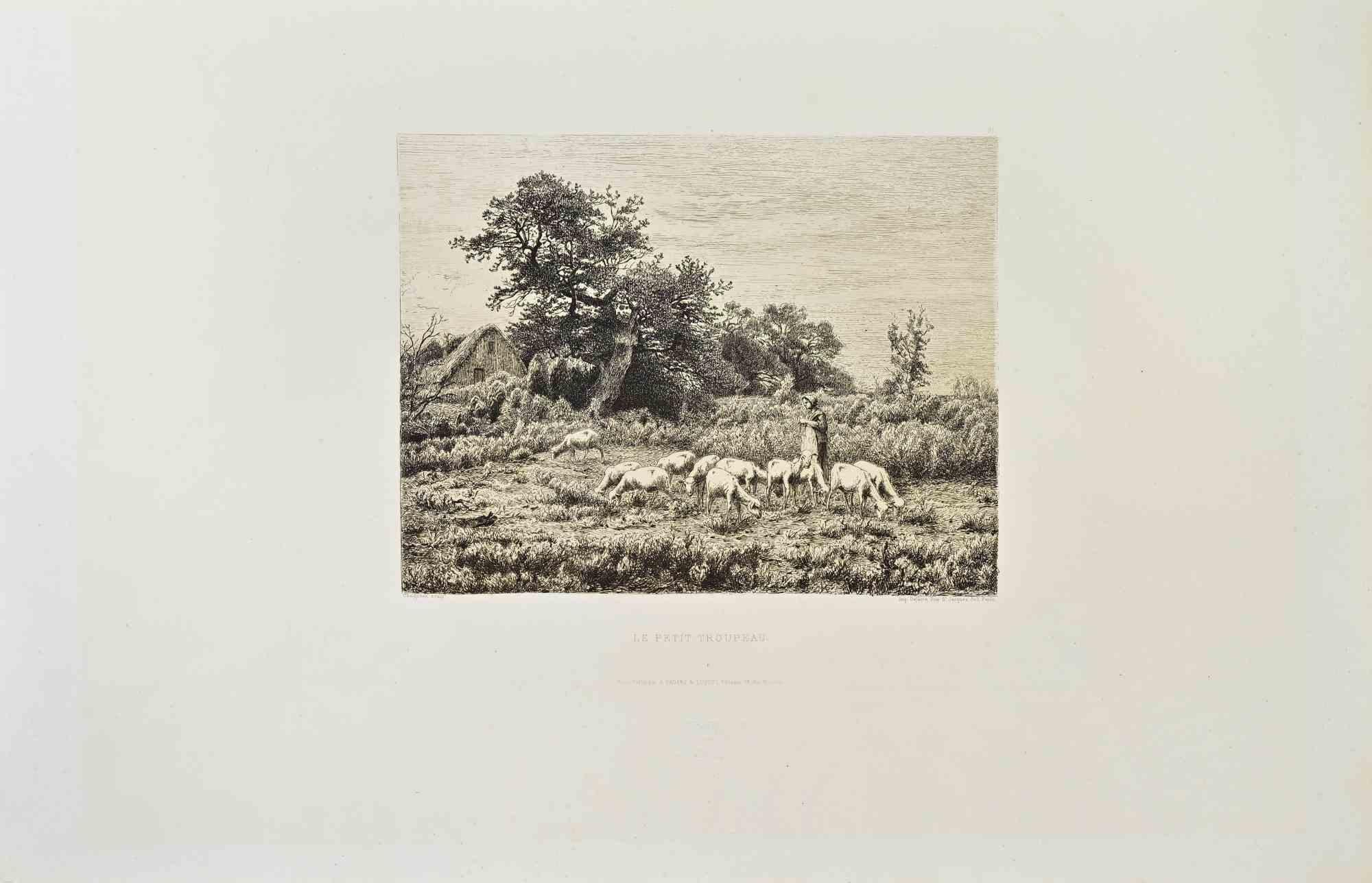 Le Petit Troupeau is a black and white etching realized by Jean-Ferdinand Chaigneau (1830-1906) in 1870s.

Titled in the lower.

Image size: 23.5x18cm.

Very Good condition.

Realized by Cadart for the "Société des Aquafortistes. Born on the