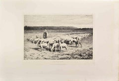 Moutons en Plaine – Radierung von Ferdinand Chaigneau – 1860er Jahre