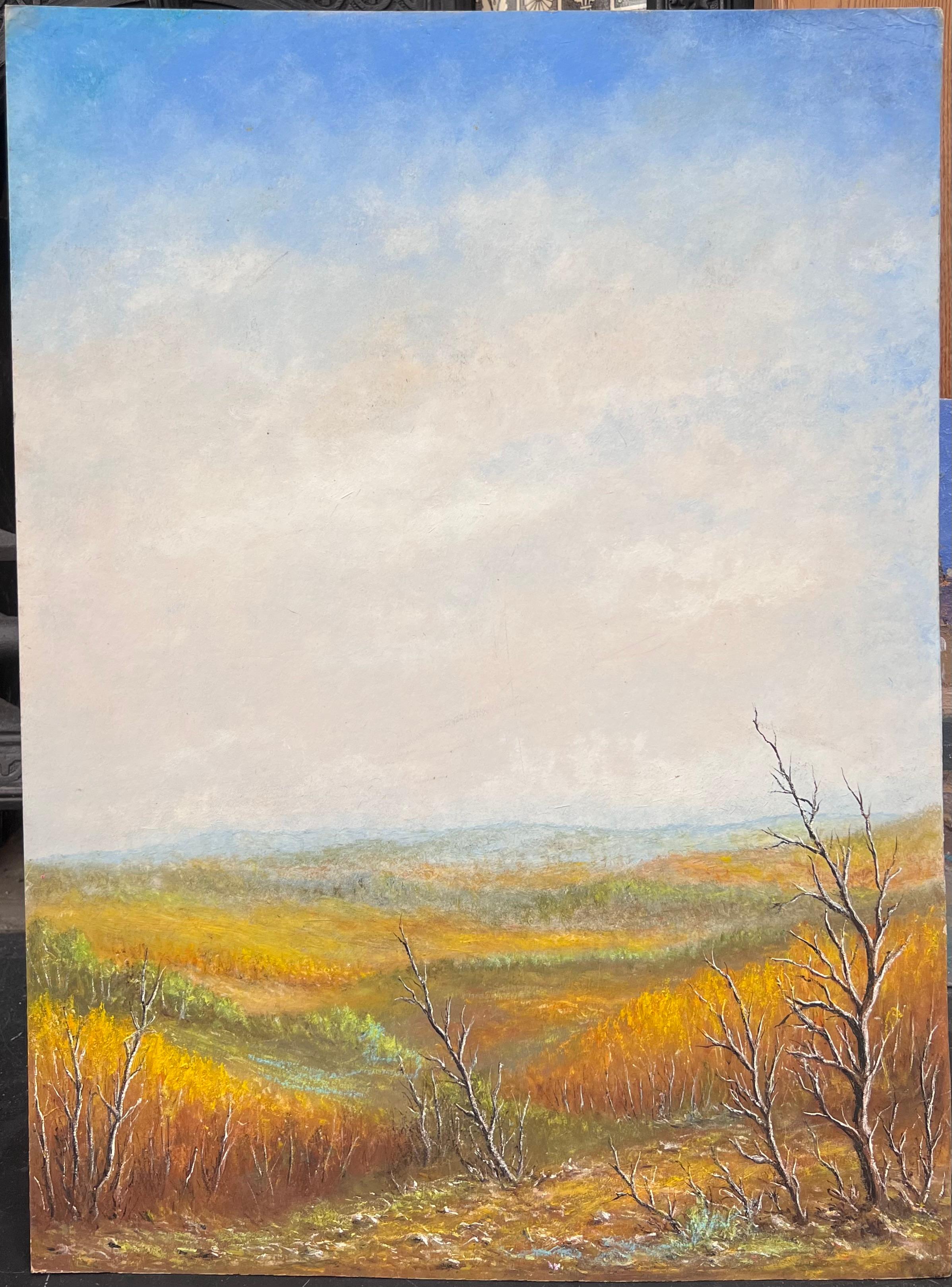 Le valli delle colline arancioni sotto un cielo blu e nuvoloso Pittura di paesaggio ad olio - Painting di Jean Fourie