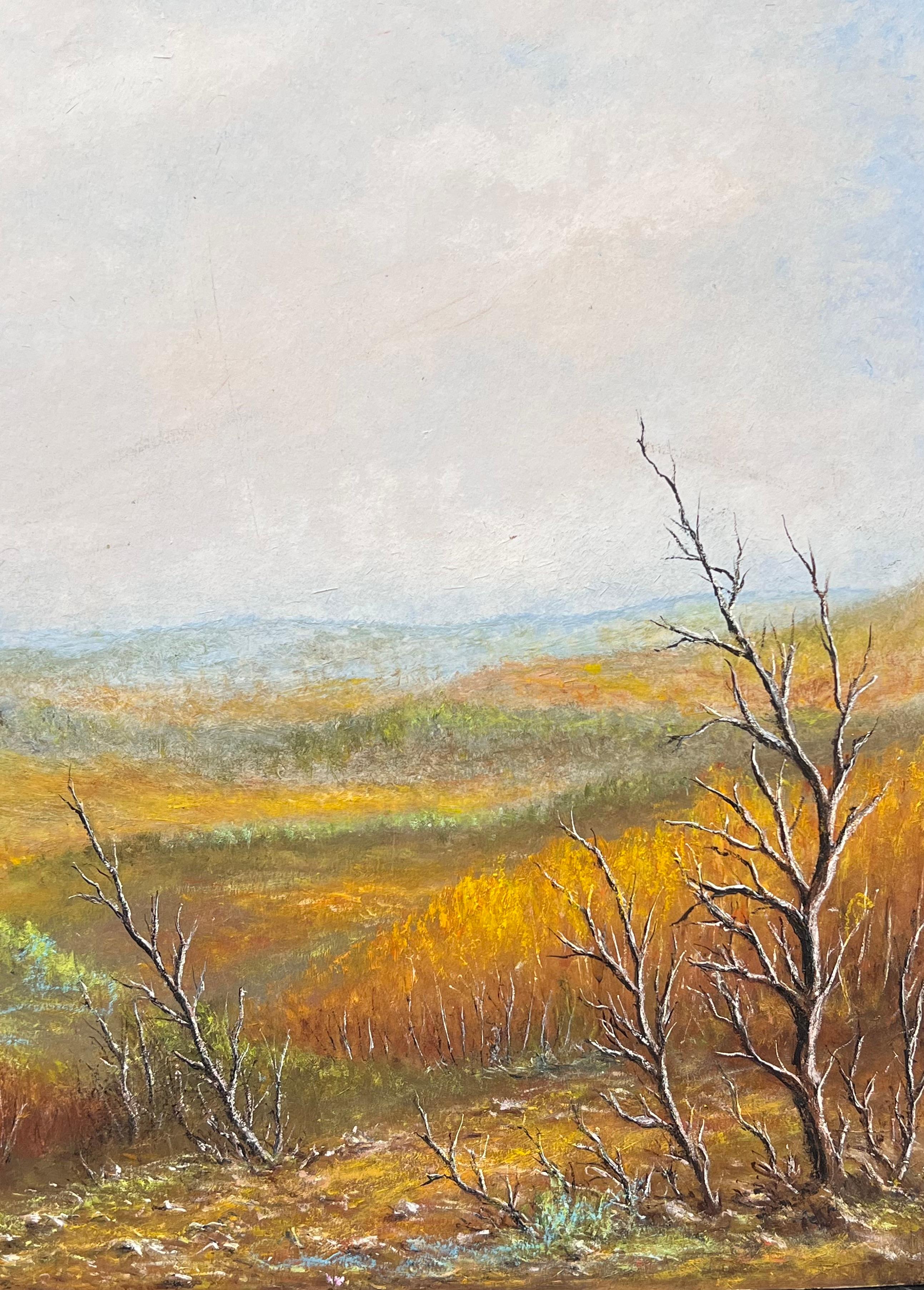 Le valli delle colline arancioni sotto un cielo blu e nuvoloso Pittura di paesaggio ad olio - Painting Scuola francese di Jean Fourie