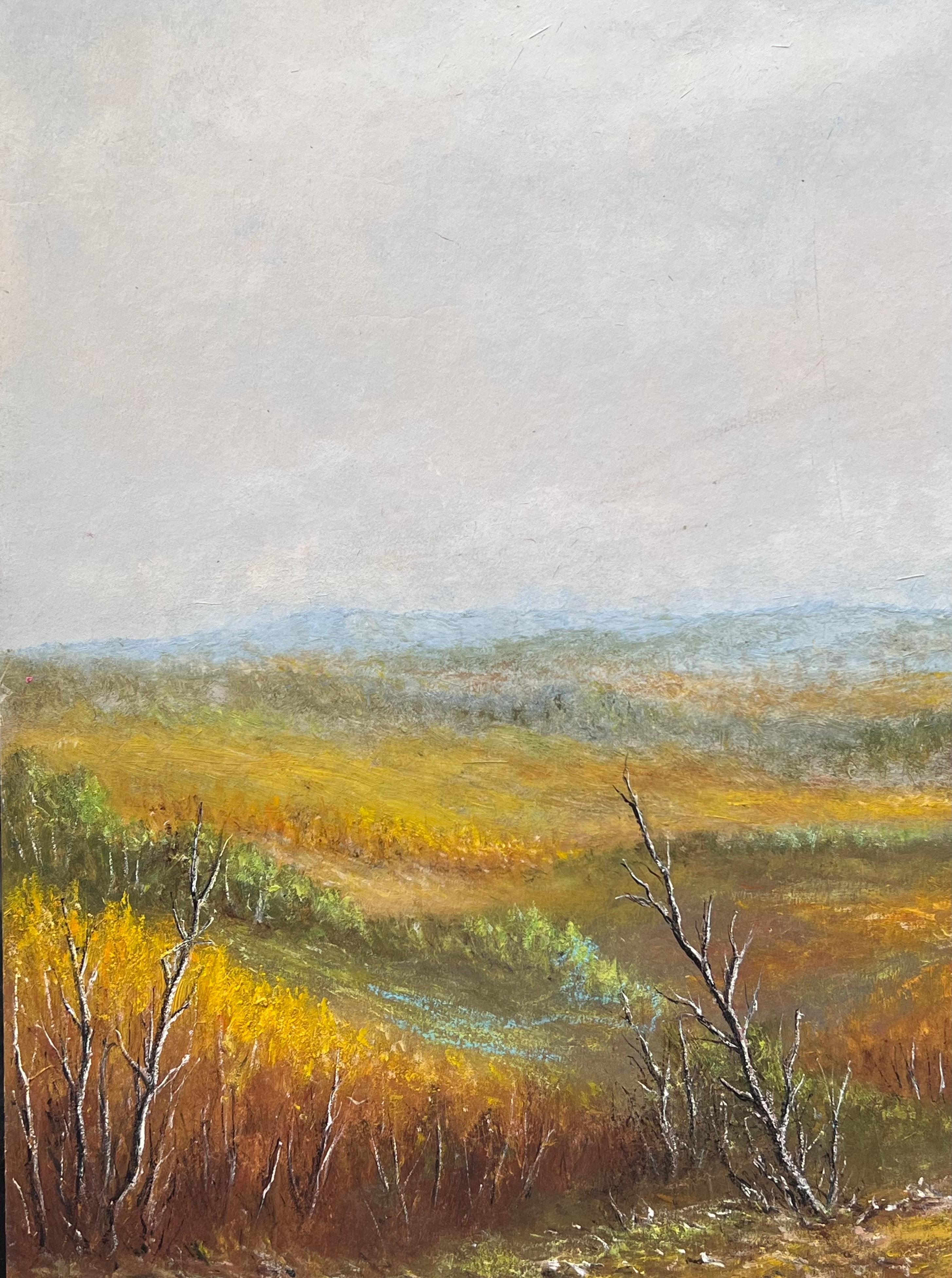 Le valli delle colline arancioni sotto un cielo blu e nuvoloso Pittura di paesaggio ad olio - Landscape Painting Grigio di Jean Fourie