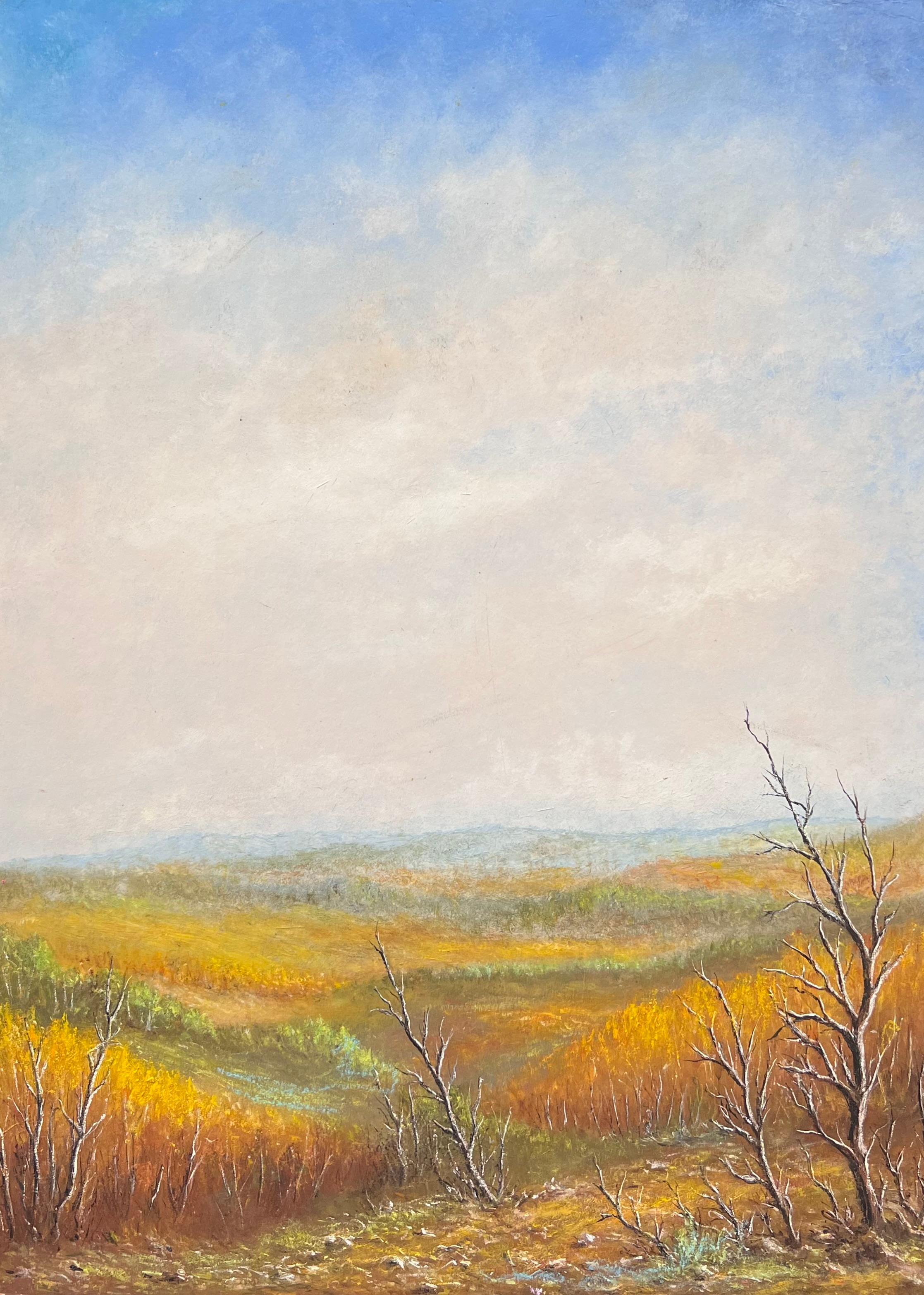 Orange Hill Valleys Under Blue Cloudy Skies Oil Landscape Painting
