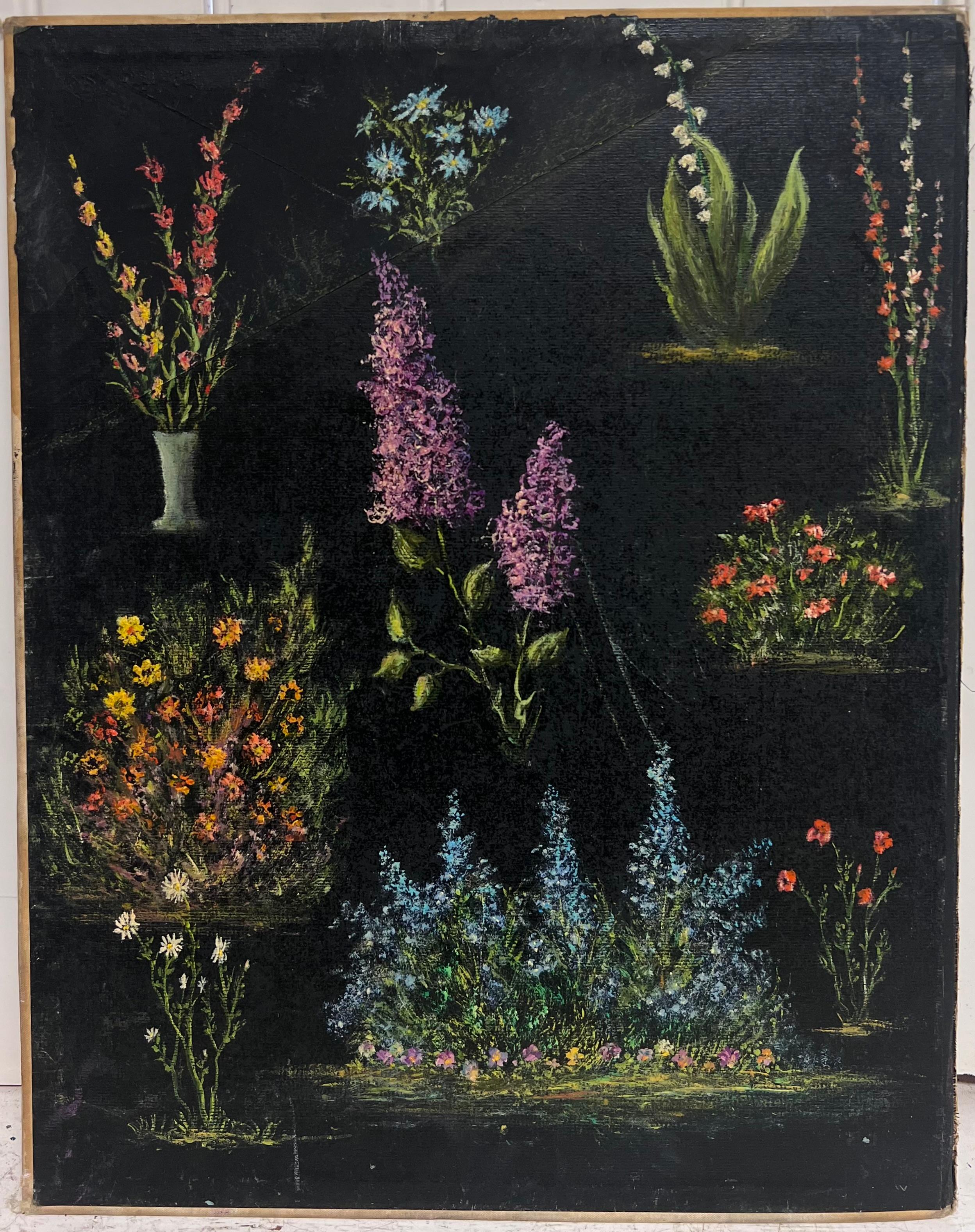 Étude de fleurs de jardin sur fond noir Peinture à l'huile - Painting de Jean Fourie