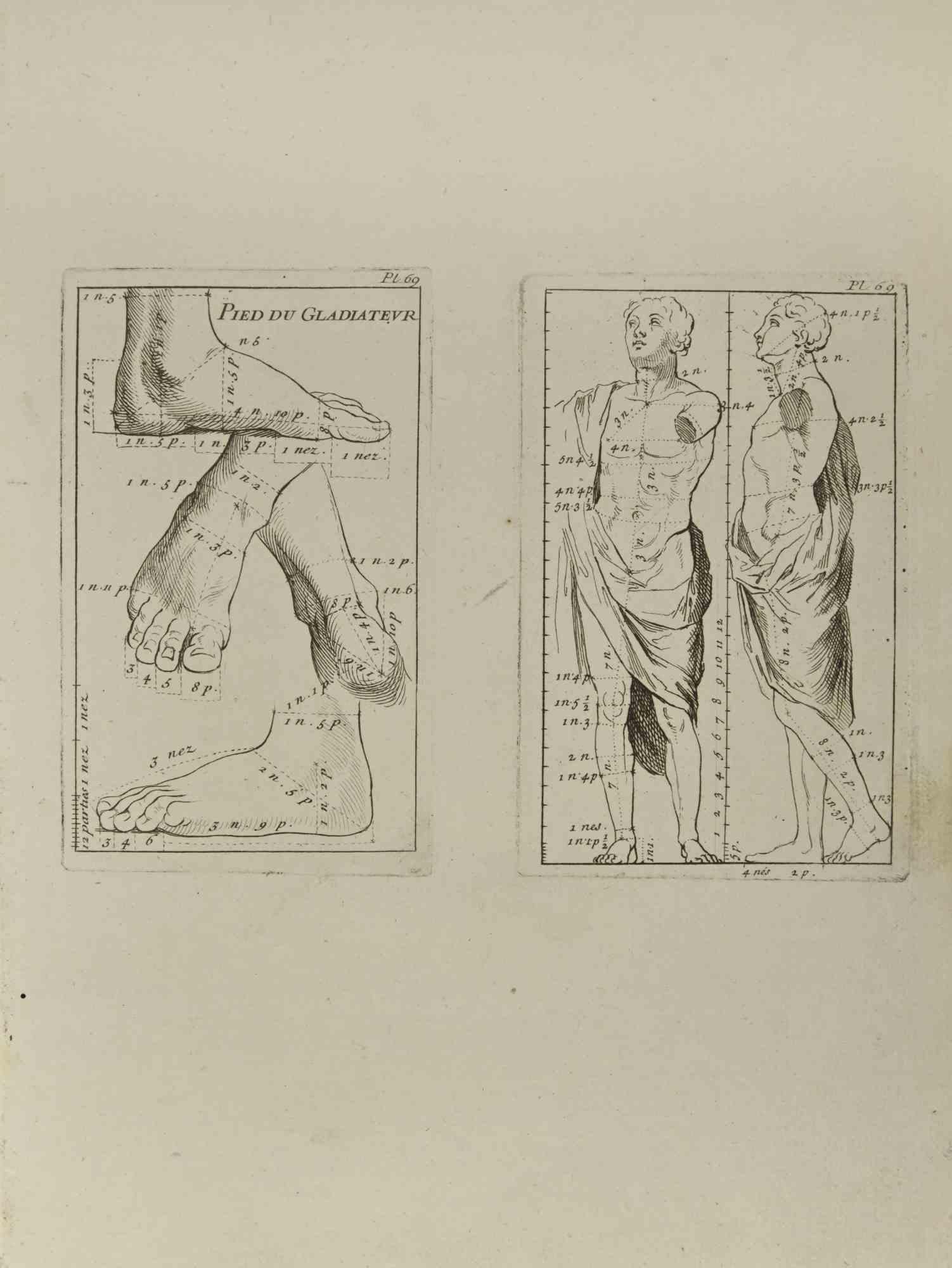 Anatomy Studies is an etching realized by Jean Francois Poletnich in 1755.

Good conditions with foxing.

The artwork is depicted through confident strokes.

The etching was realized for the anatomy study “JOMBERT, Charles-Antoine (1712-1784) -