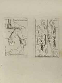 Antique Anatomy Studies - Etching by Jean François Poletnich - 18th Century