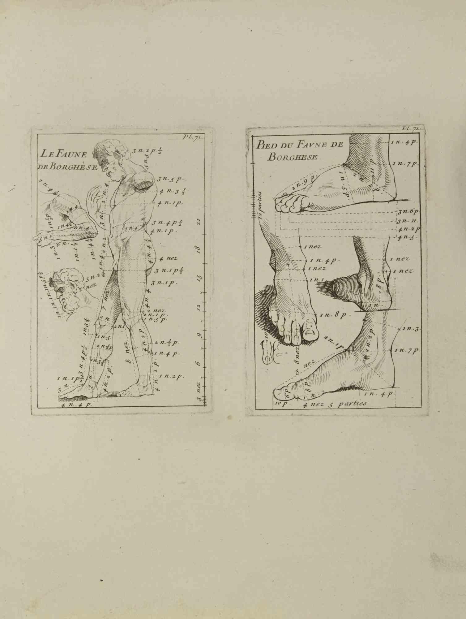 Anatomy Studies is an etching realized by Jean Francois Poletnich in 1755.

Good conditions with foxing.

The artwork is depicted through confident strokes.

The etching was realized for the anatomy study “JOMBERT, Charles-Antoine (1712-1784) -