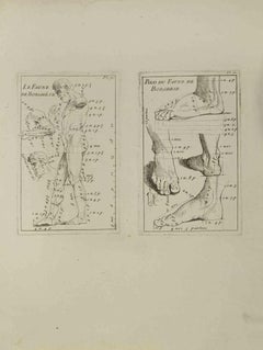 Anatomie-Studien - Radierung von Jean François Poletnich - 18. Jahrhundert
